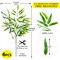 Grand Verde Bamboo Tree Branches 23” Tall Stems Artificial Plants Faux Greenery Plastic Green Leaves, DIY Outdoor Fence Decoration, 6pcs Bulk